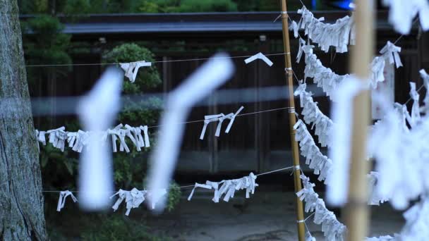 2018 日滋賀 高島郡 その滋賀県で日本の神社で神のお告げ カメラ キヤノン Eos Mark4 — ストック動画