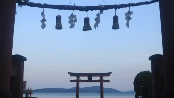 Takashima District Shiga Japan Augustus 2018 Zijn Een Gate Torii — Stockvideo