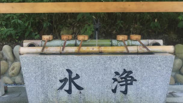 Itadori District Gifu Japan Augustus 2018 Zijn Een Trog Zuivering — Stockvideo