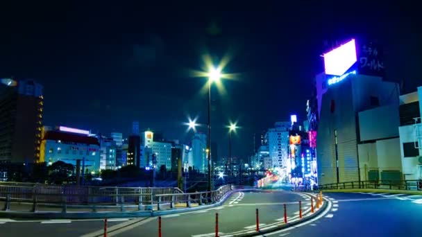 Анкети Токіо Японія 2018 Серпня Його Розташування Міста Токіо Проміжок — стокове відео