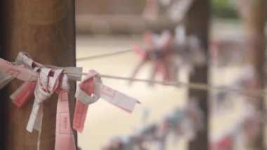 Kameido, Tokyo/Japonya - 5 Ağustos 2018: Onun bir oracle, Tokyo Japon tapınak. fotoğraf makinesi: Canon Eos 5d mark4