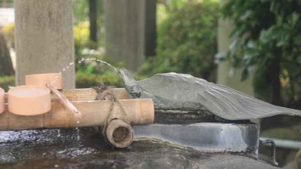 Kameido Tóquio Japão Agosto 2018 Cocho Purificação Santuário Japonês Tóquio — Vídeo de Stock