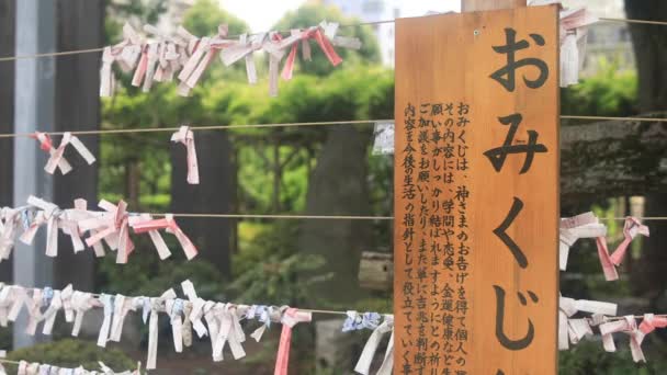 Kameido Tokyo Japan August 2018 Ein Orakel Japanischen Schrein Tokyo — Stockvideo