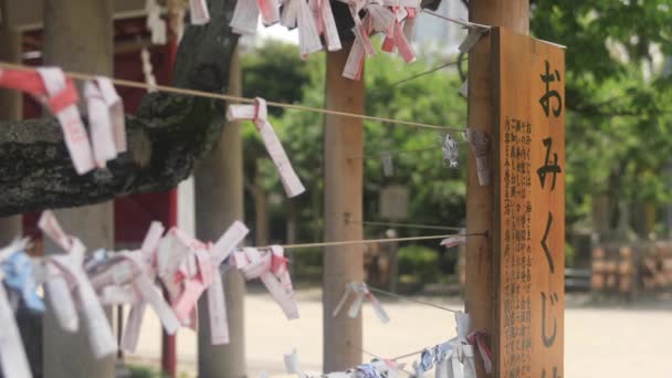 Kameido Tokyo Japan August 2018 Ein Orakel Japanischen Schrein Tokyo — Stockvideo