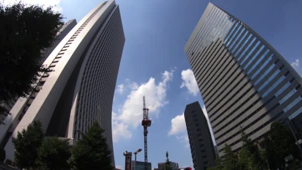 Shinjuku Tokio Japón Agosto 2018 Una Ciudad Ubicada Tokio Lapso — Vídeos de Stock