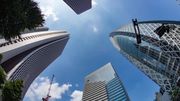 Shinjuku Tokio Japón Agosto 2018 Una Ciudad Ubicada Tokio Lapso — Vídeos de Stock