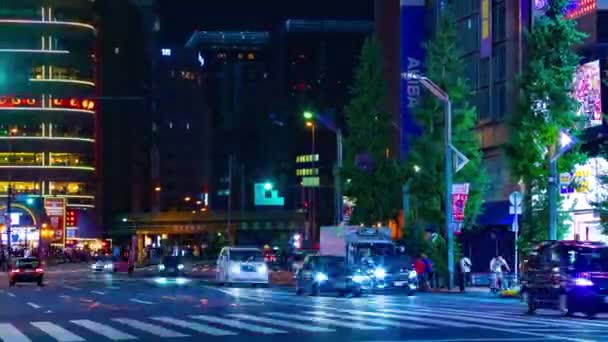 Akihabara Tokio Juli 2018 Zijn Een Locatie Tokio Time Lapse — Stockvideo