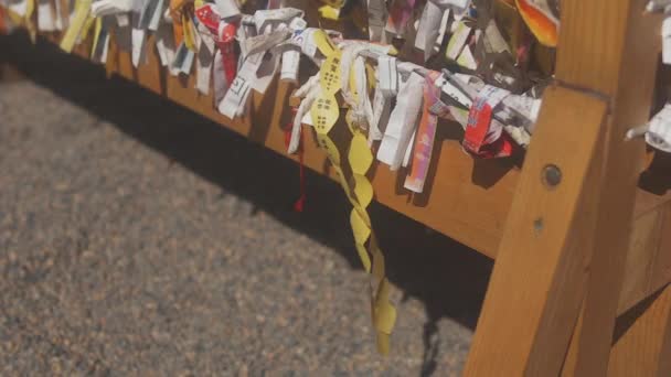 Asakusa Tokyo Japan July 15Th 2018 Its Oracle Japanese Shrine — Stock Video