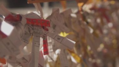 Asakusa, Tokyo/Japonya - 15th Temmuz 2018: Onun Asakusa Tokyo Japon tapınak, oracle. fotoğraf makinesi: Canon Eos 5d mark4