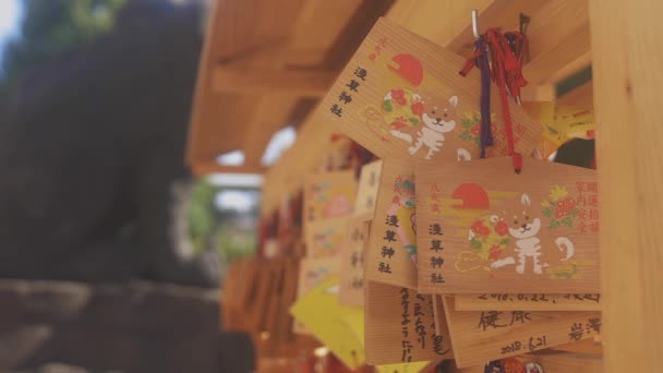 Asakusa Tokio Juli 2018 Zijn Een Traditionele Locatie Tokio Camera — Stockvideo