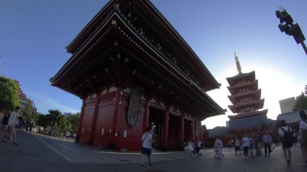 Asakusa Tokio Japón Agosto 2018 Una Puerta Principal Santuario Japonés — Vídeo de stock