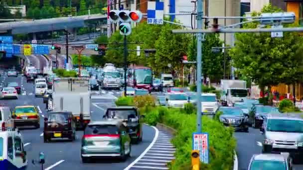 Akasaka Tokyo Giappone Agosto 2018 Una Città Situata Tokyo Time — Video Stock