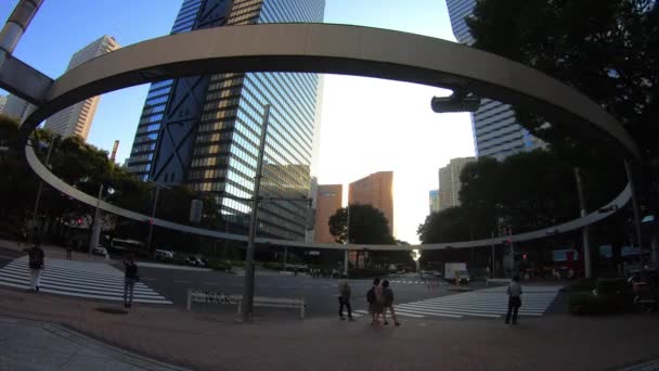 Shinjuku Tokyo Japonsko Srpna 2018 Její Umístění Města Tokiu Časová — Stock video