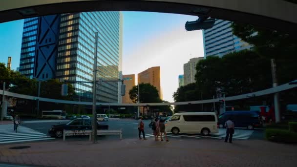 Shinjuku Tokyo Giappone Agosto 2018 Una Città Situata Tokyo Time — Video Stock