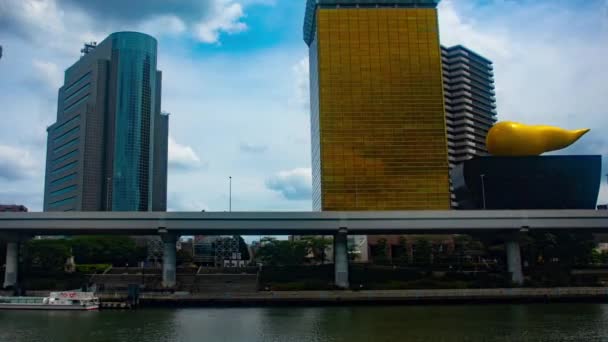 Asakusa Tokio Japonsko Srpna 2018 Její Umístění Města Tokiu Časová — Stock video