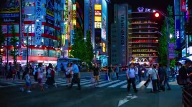 Akihabara, Tokyo/Japonya - 25th Ağustos 2018: Onun Tokyo şehir konum. zaman atlamalı. fotoğraf makinesi: Canon Eos 5d mark4