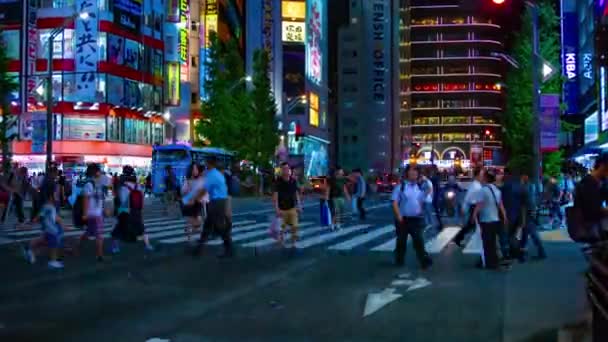 Akihabara Tóquio Japão Agosto 2018 Sua Localização Tóquio Lapso Tempo — Vídeo de Stock