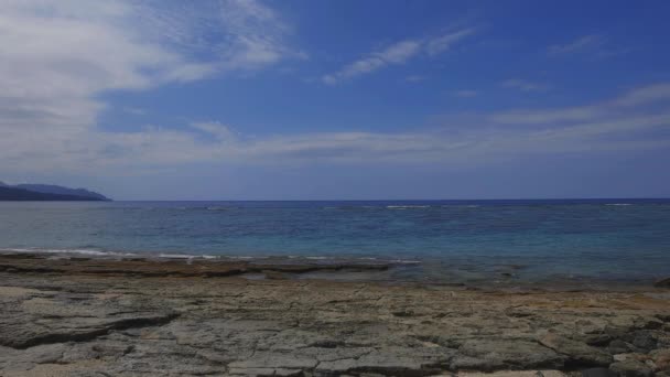 Amami Oshima Kagoshima Japonia Września 2018 Jego Boku Plaży Kagoshima — Wideo stockowe