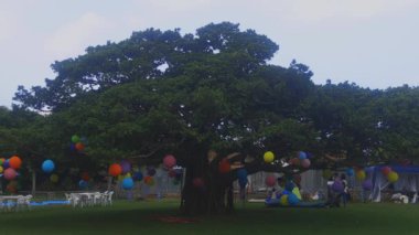 Amami, Kagoshima/Japonya - 22 Eylül 2018: Onun bir dekorasyon Amami Adası Kagoshima içinde. zaman atlamalı. fotoğraf makinesi: Canon Eos 5d mark4
