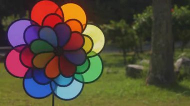 Amami, Kagoshima/Japonya - 22 Eylül 2018: Onun Amami Adası Kagoshima kamp alanında bir dekorasyon. zaman atlamalı. fotoğraf makinesi: Canon Eos 5d mark4