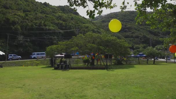 Amami Kagoshima Giappone Settembre 2018 Una Decorazione Nell Isola Amami — Video Stock