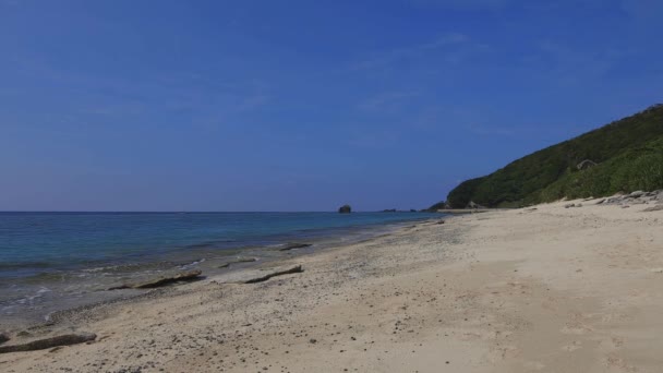 Amami Kagoshima Giappone Settembre 2018 Una Località Naturale Nell Isola — Video Stock