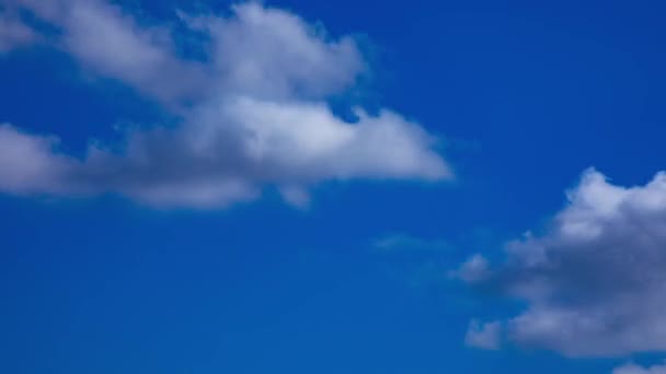 Синдзюку Токио Япония 2018 Облако Голубое Небо Временной Интервал Камера — стоковое видео