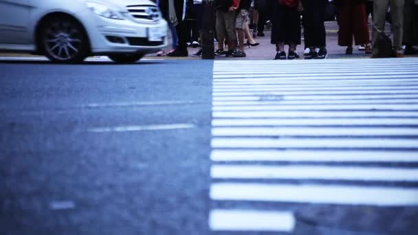 Shibuya Shibuya Токіо Японія 2018 Ходьбі Людей Перетинанні Місті Камери — стокове відео