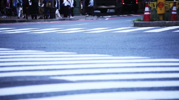 Shibuya Shibuya Tokio Japón 2018 Sus Caminantes Cruce Ciudad Cámara — Vídeo de stock