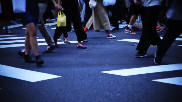 Shibuya Shibuya Tokyo Jepang 2018 Orang Orangnya Berjalan Persimpangan Kota — Stok Video