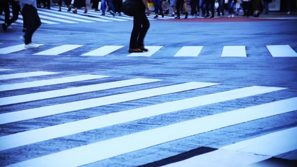 Shibuya Shibuya Tokio Japón 2018 Sus Caminantes Cruce Ciudad Cámara — Vídeos de Stock