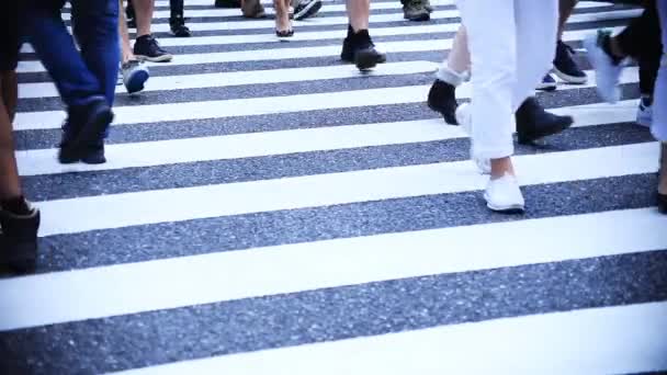 日本东京 日本涉谷涉谷 2018 在城市的十字路口散步的人 Eos 标记4 — 图库视频影像