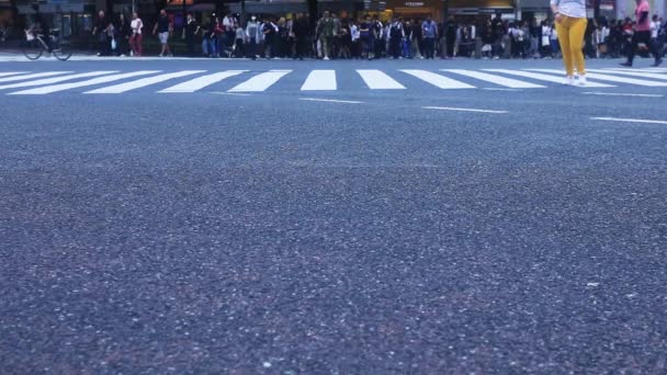 日本东京 日本涉谷涉谷 2018 在城市的十字路口散步的人 Eos 标记4 — 图库视频影像
