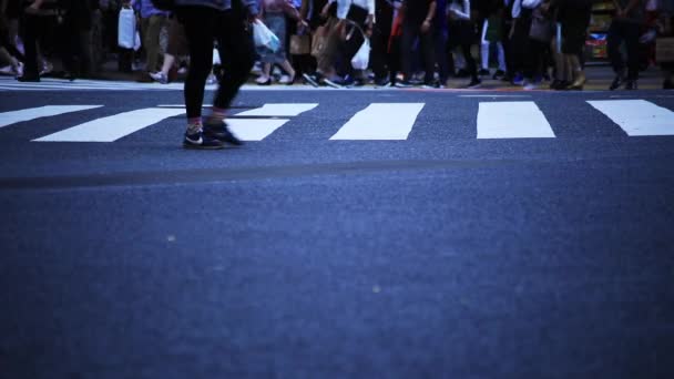 Shibuya Shibuya Tokyo Japán 2018 Sétáló Emberek Átkelés Városban Fényképezőgép — Stock videók