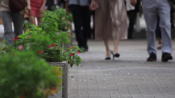 Shinjuku Shinjuku Tokyo Japan 2018 Its Walking People Business Town — Stock Video