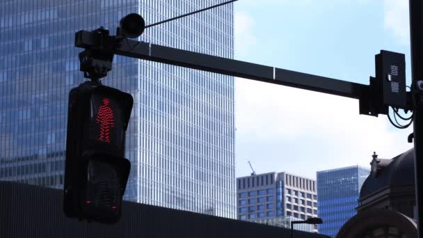 Chiyoda Marunouchi Tokyo Japan 2018 Ist Eine Ampel Der Geschäftsstadt — Stockvideo