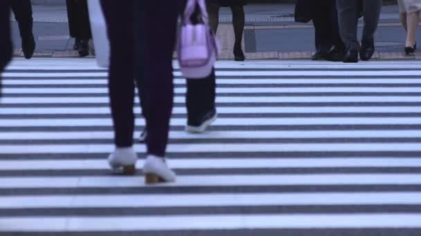 Chiyoda Ootemachi Tokyo Japonya 2018 Onun Kasaba Yürüyen Bir Insan — Stok video