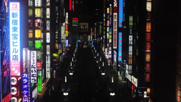 Japanska neon styrelsen på natten i centrala stan — Stockvideo