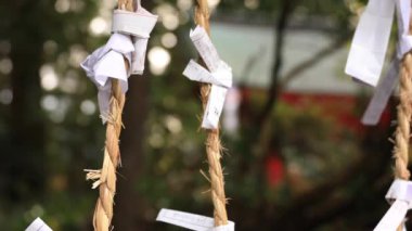 Kahinler, Hakone tapınak Shizuoka Japonya'da