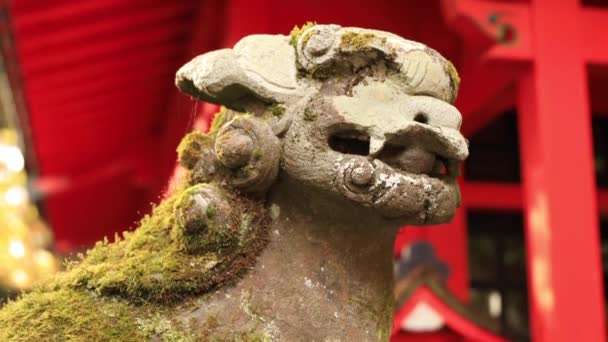 Σκύλος φύλακας άγαλμα στο Hakone ιερό στην Ιαπωνία Shizuoka — Αρχείο Βίντεο