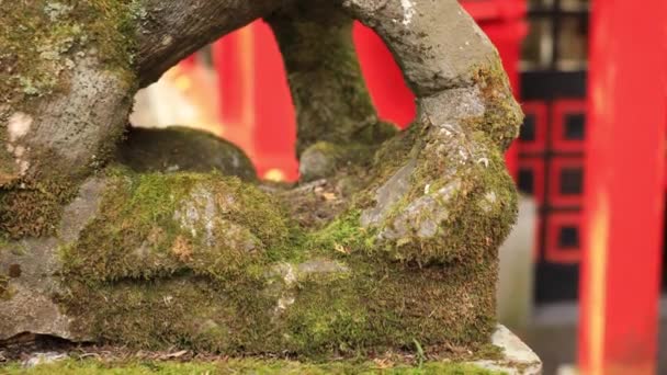 Statyn guardian hund på Hakone shrine i Shizuoka Japan — Stockvideo