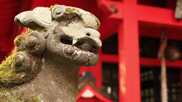 Statue guardian dog at Hakone shrine in Shizuoka Japan — Stock Video