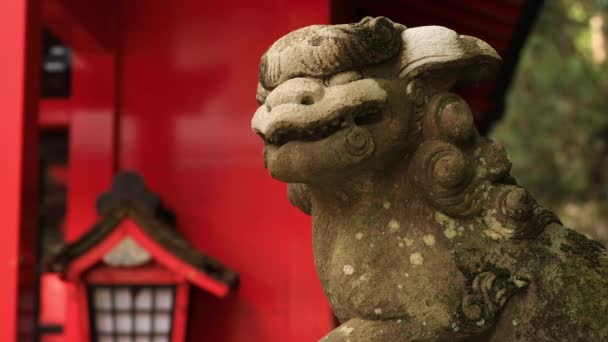 静岡県にある箱根神社で像狛犬 — ストック動画