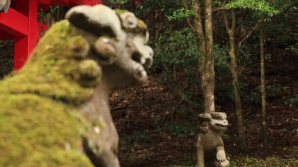 Statyn guardian hund på Hakone shrine i Shizuoka Japan — Stockvideo