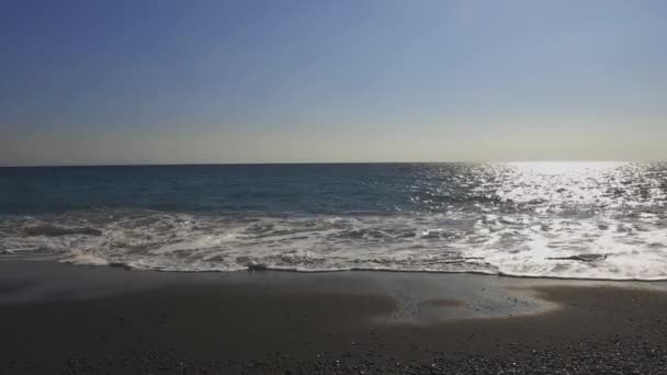 Kopya alanı da dahil olmak üzere dalga Shizuoka geniş kum beach civarındaki vurdu — Stok video