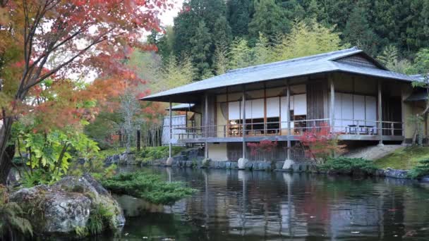 Japanse Traditionele Tuin Het Park Het Najaar Shi Shizuoka Japan — Stockvideo