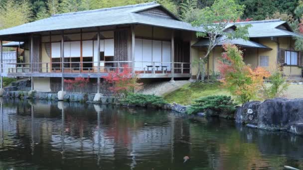 Japansk traditionell trädgård Park i höst — Stockvideo