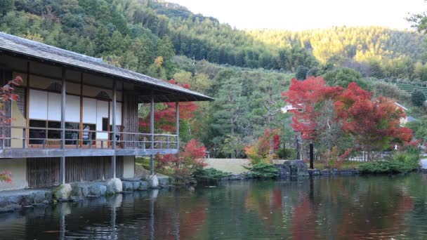 Jardín tradicional japonés en el parque en otoño — Vídeo de stock