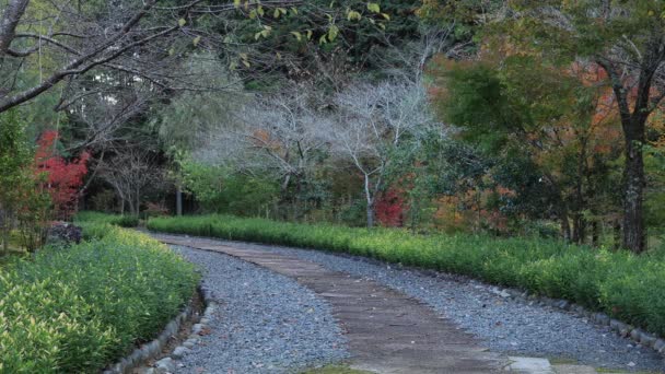 秋の公園で日本の伝統的な庭園 — ストック動画