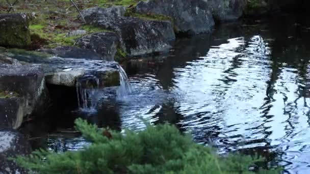 Sonbahar Park'ta Japon geleneksel Bahçe — Stok video